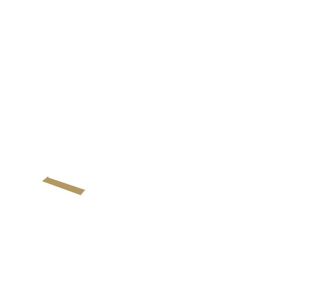 Air freight